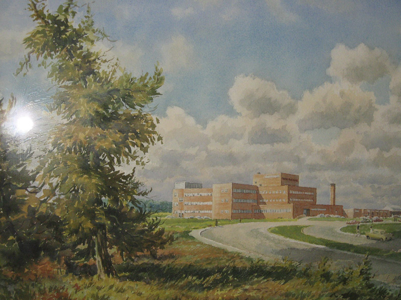 watercolour.jpg