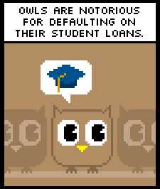 owl student loan