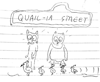 quail street